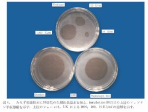血栓溶解剤にも勝る効果